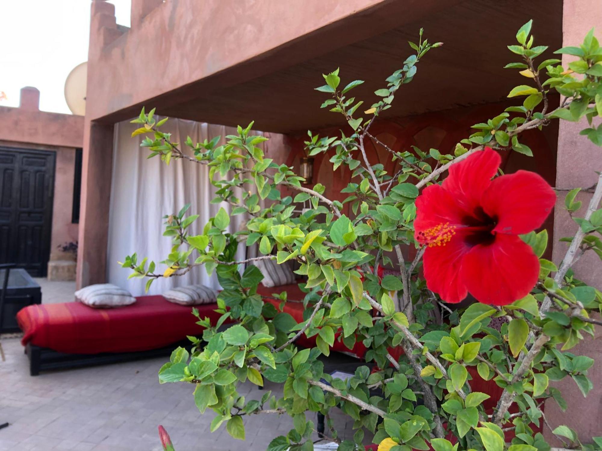 Dar Fangui Hotel Marrakesh Eksteriør billede